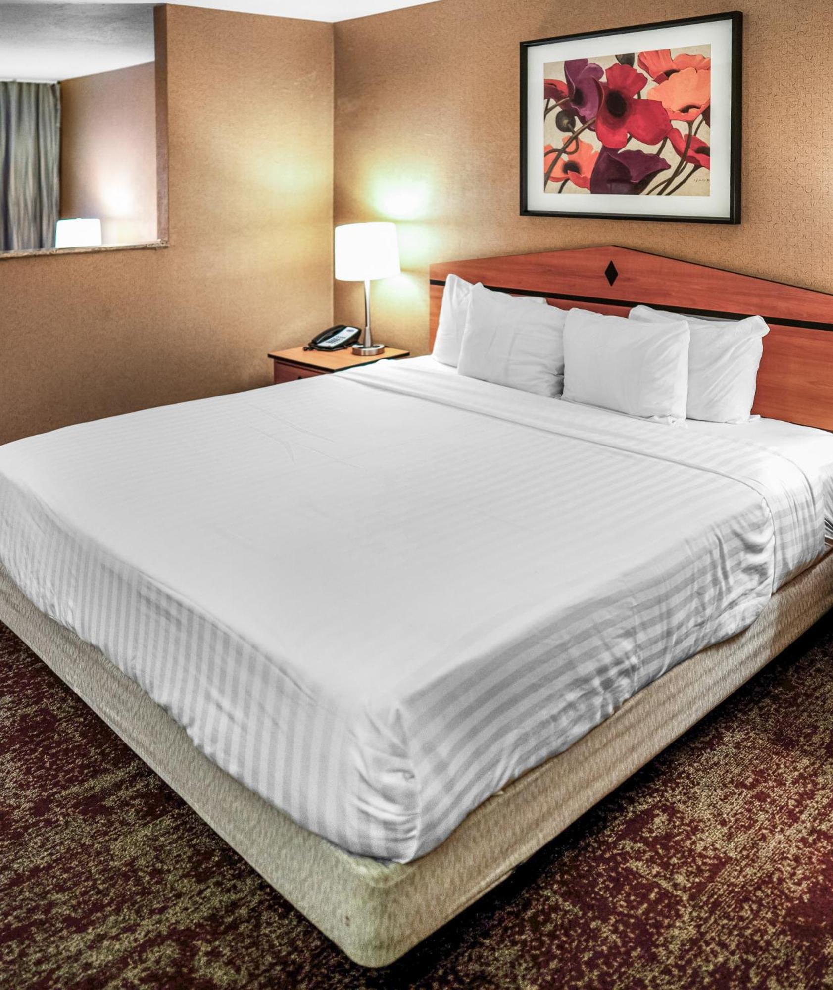 King Room,1664660561:JPEG